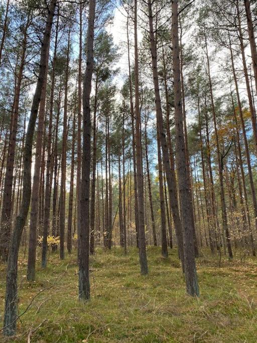 Ferienwohnung Fuer Naturliebhaber Peenemünde Exterior foto